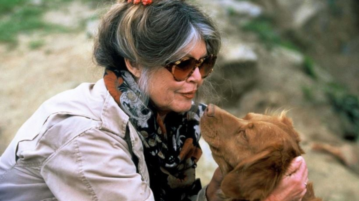 At 89, French Actress and Animal rights Activist, Brigitte Bardot still Defends Animals
