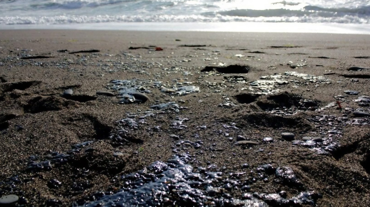 Fuel oil has washed ashore across dozens of kilometres in Krasnodar Krai. Fuel oil has washed ashore across dozens of kilometres in Krasnodar Krai.