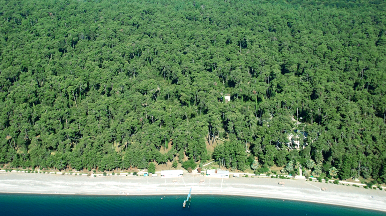 Interest in Abkhazian real estate and natural resources has skyrocketed in the past few years. Interest in Abkhazian real estate and natural resources has skyrocketed in the past few years.